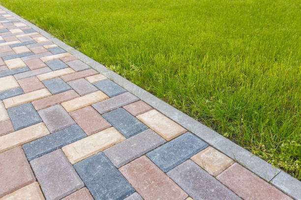 Best Local Driveway Pavers  in Avalon, CA